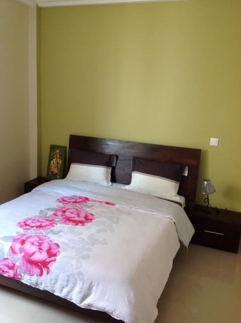 A De La Paix Apartment *